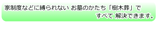 家制度などに縛られない お墓のかたち「樹木葬」で すべて解決できます