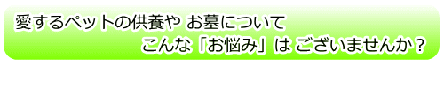 愛するペットの供養やお墓について、こんな「お悩み」はございませんか？