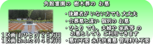 樹木葬の お墓