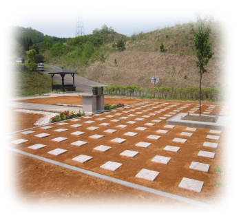 樹木葬のお墓：横から