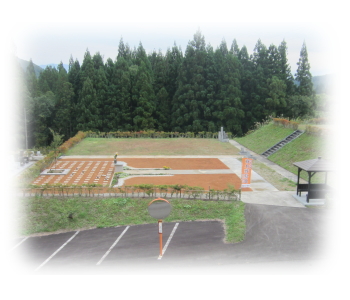 樹木葬のお墓：上横から