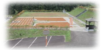 樹木葬のお墓：上横から