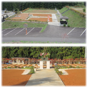 バリアフリーの樹木葬のお墓